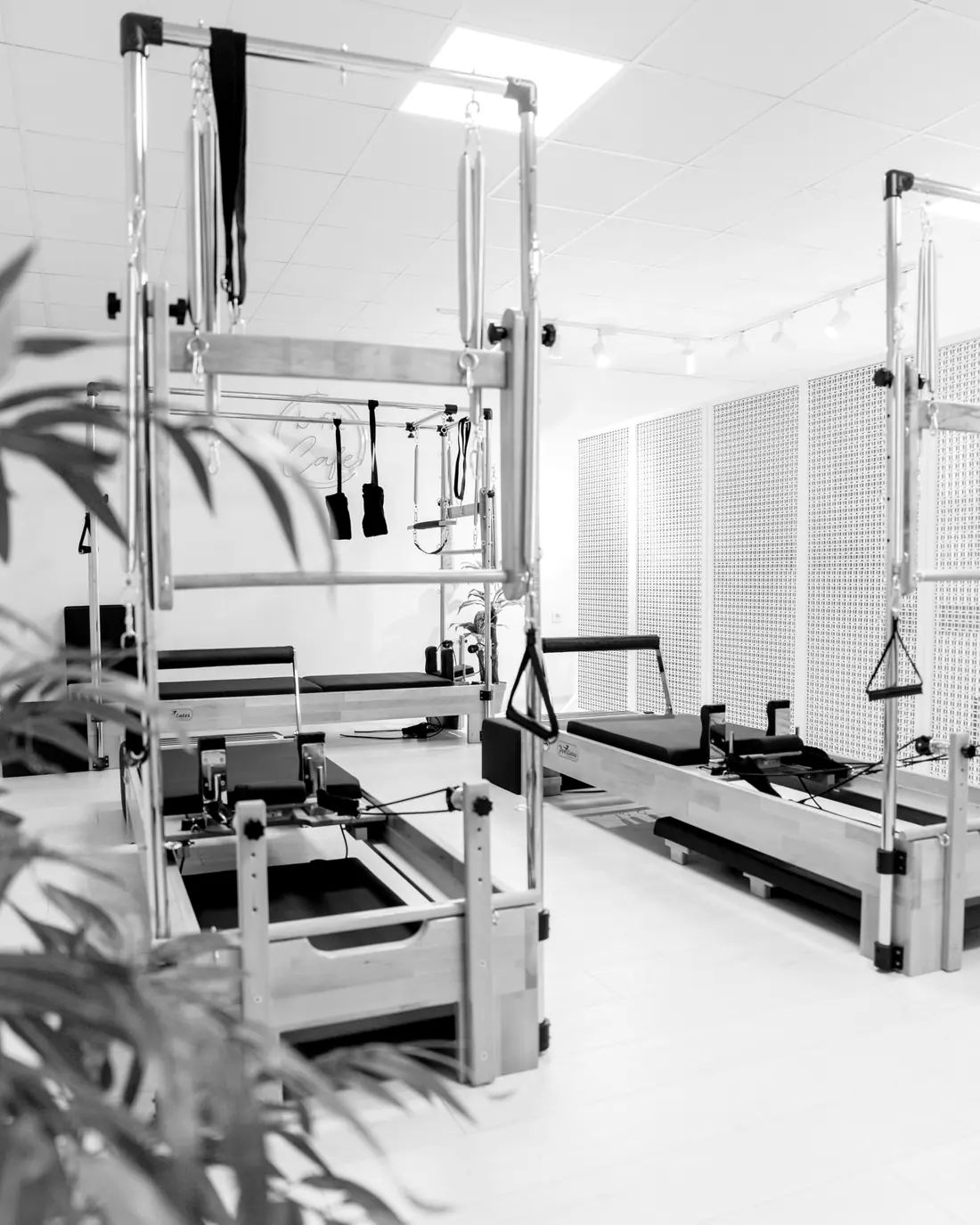 Bright movement studio with apparatus and plants, the kind of room The Core Collective's yoga and functional movement classes use